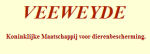 ravels asiel